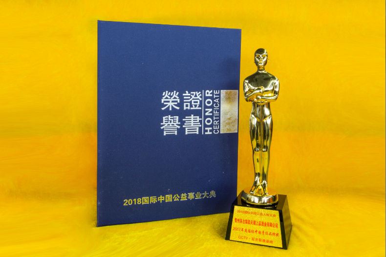 2017年度国际中国责任品牌奖